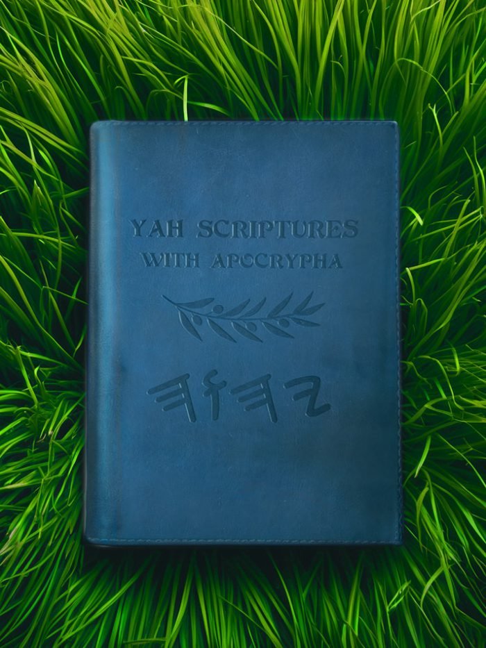 Restored Names Scripture with the Apocrypha - Image 3